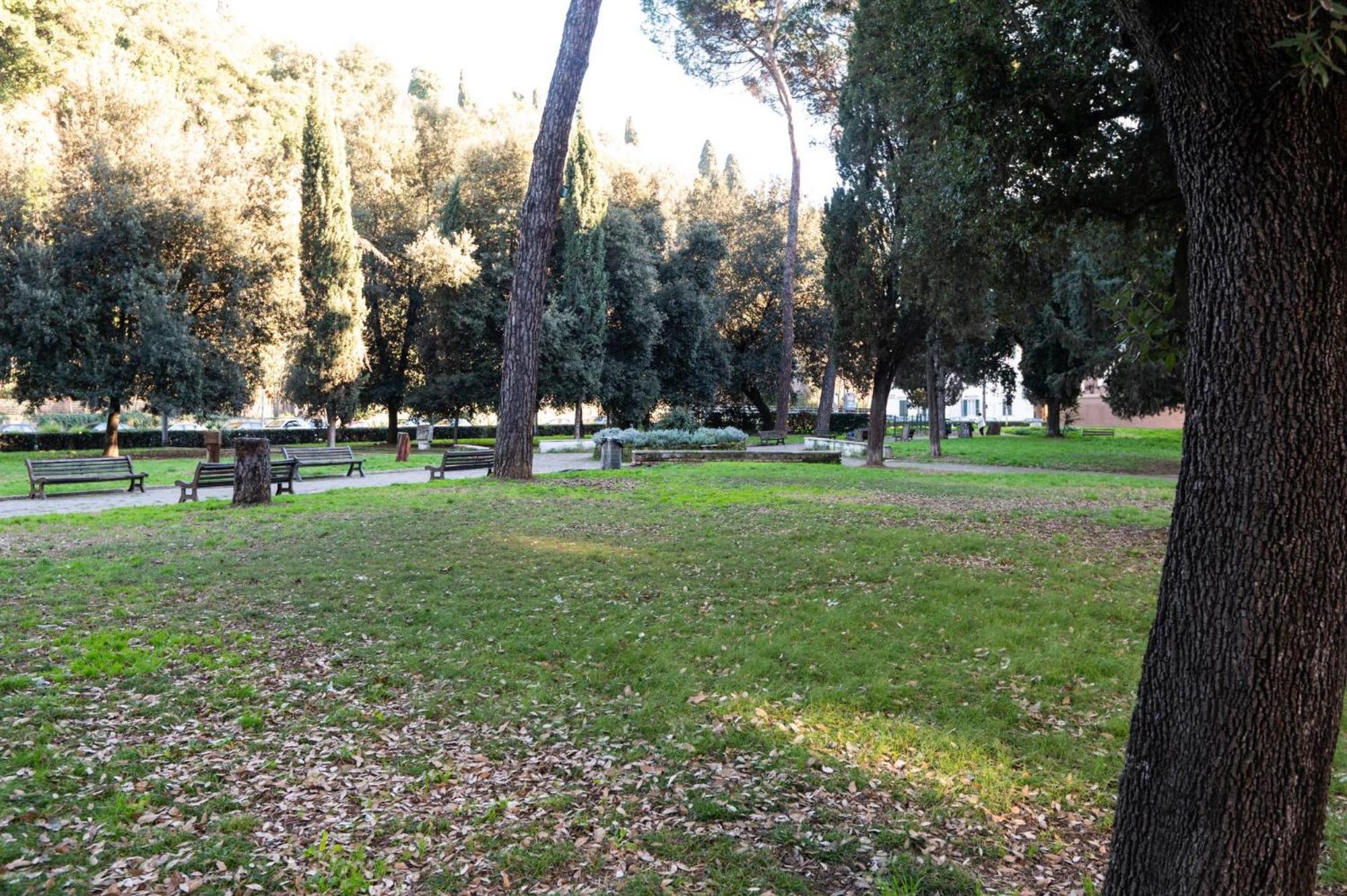 Affittacamere Domus 213 Roma